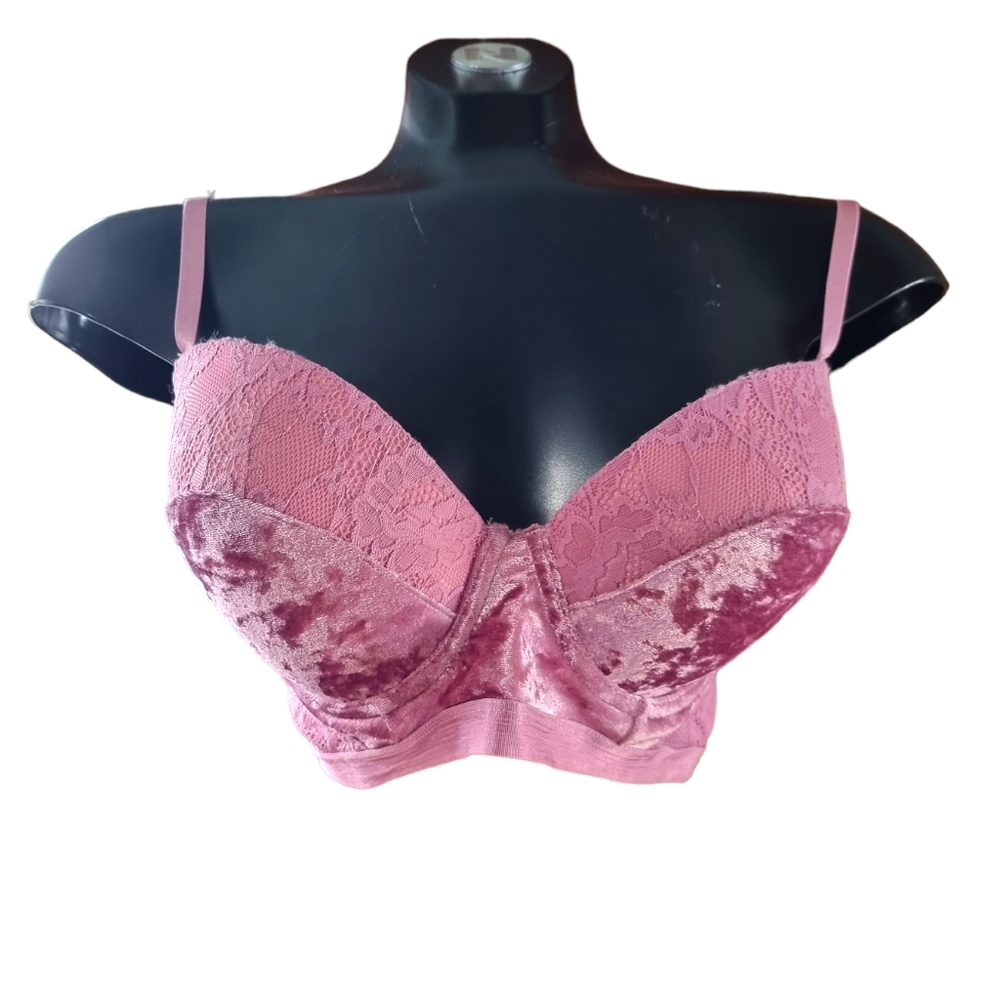 3/$40 IJAK Lace & Velvet Push-up Bra NWOT